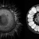 Illustration for article titled Best of the Week: September 29-October 5, 2012